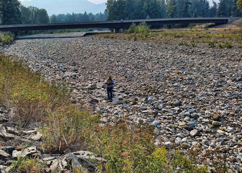 Illustration for article titled Hydrologists Tackle a Deceptively Simple Question: Where's the Water?